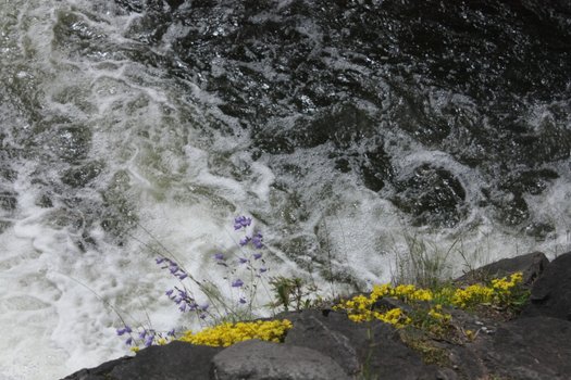 водопад Кивач